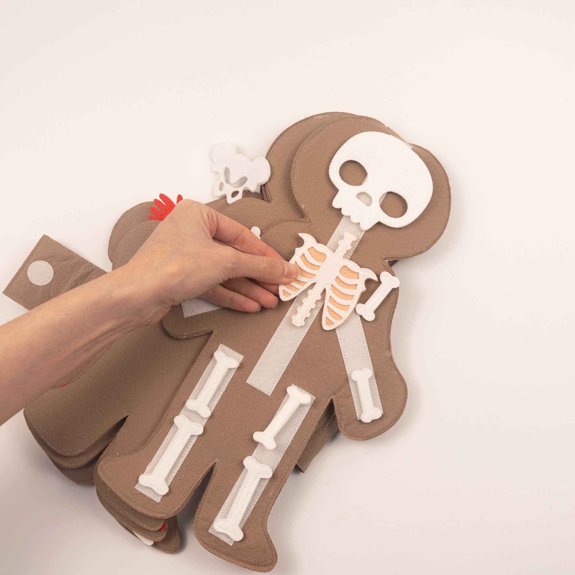 Mon Corps – Garçon